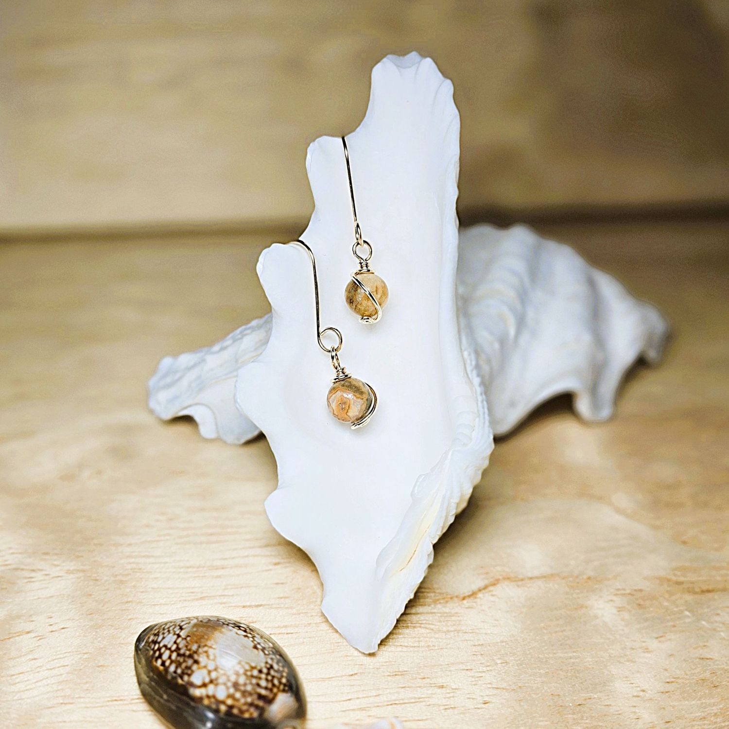 Crazy Lace Agate 8mm Gold Filled Earrings Crazy Lace Agate 8mm Gold Filled Earrings