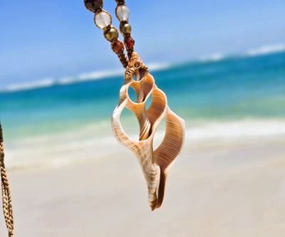 Ocean & Earth Collection