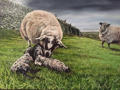 Sheep and Lamb (A3)