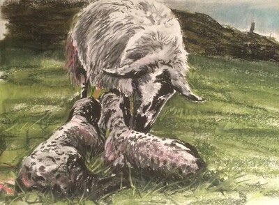 Mother Cleaning New Borns - A4 Pastel Sketch