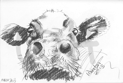 Cow Sketch Two - A4 Sketch