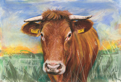 Brown Cow (A3)