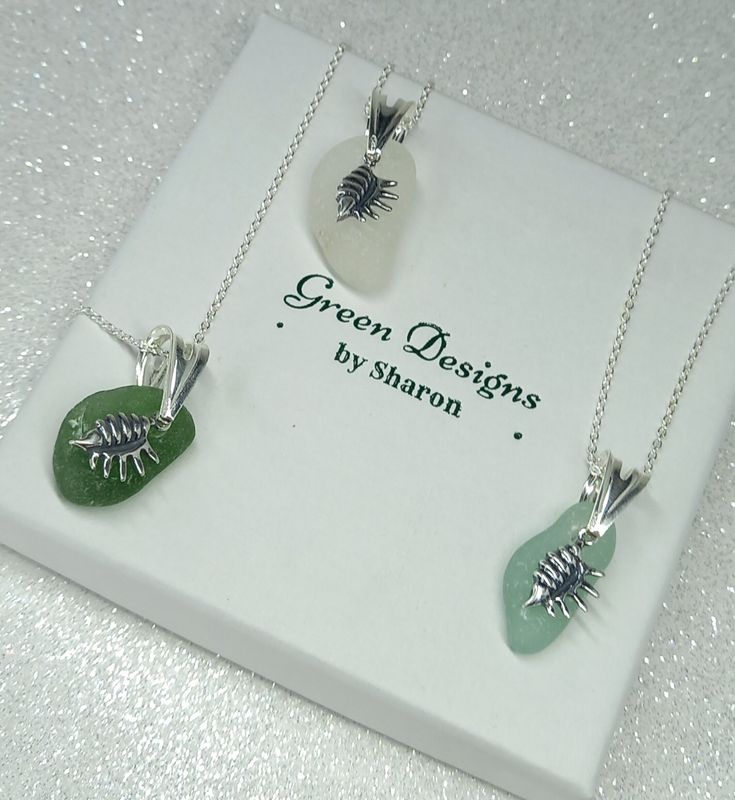 Scottish Sea Glass Conch Shell Charm Necklace - Sterling Silver - Various Colours available