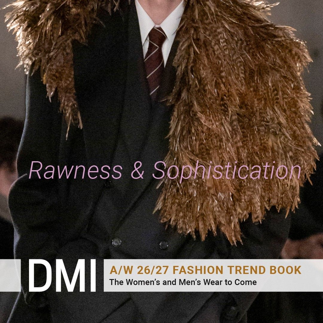 DMI FASHION TREND BOOK  Saison A/W 26/27 MEMBER | 390,- Euro (zzgl. 19% MwSt) Lieferung ab dem 10.06.2025