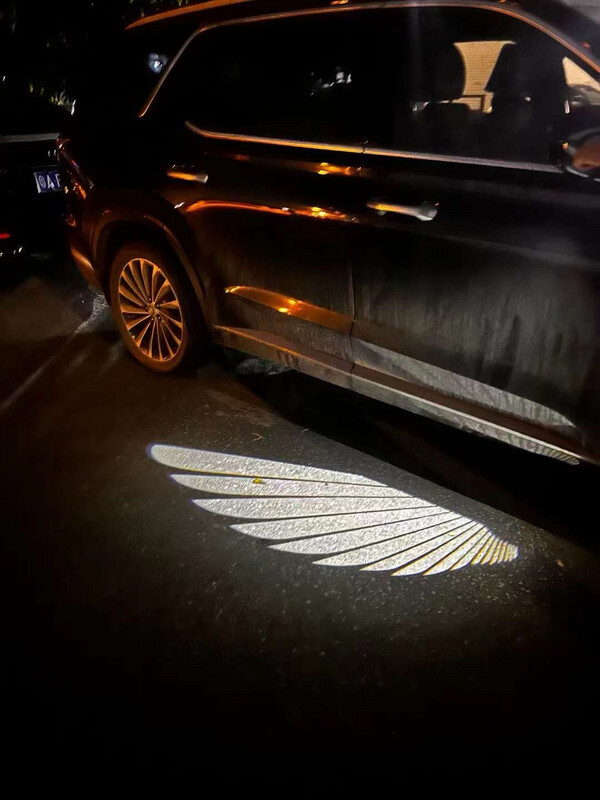 Car Wings Led 2 pcs