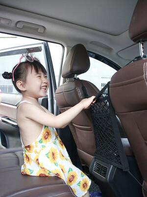 Car Elastic Bag Mesh 2pcs