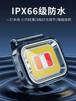 Mini Flashlight W500 Original