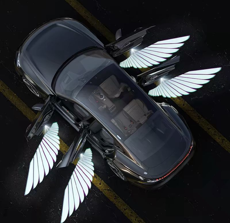 Door Wing Led