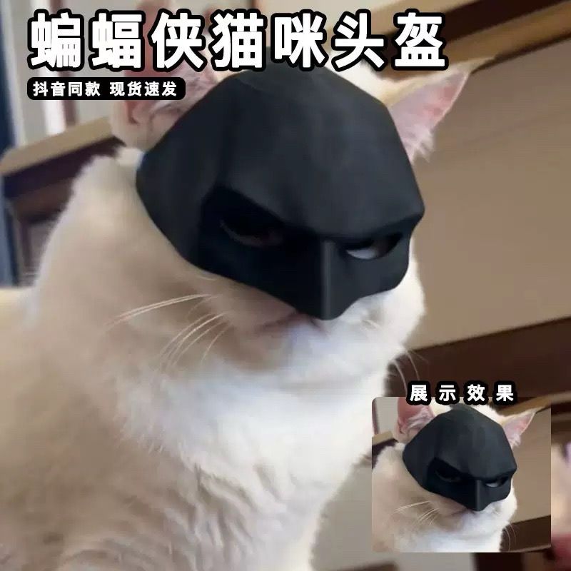 Car Mask