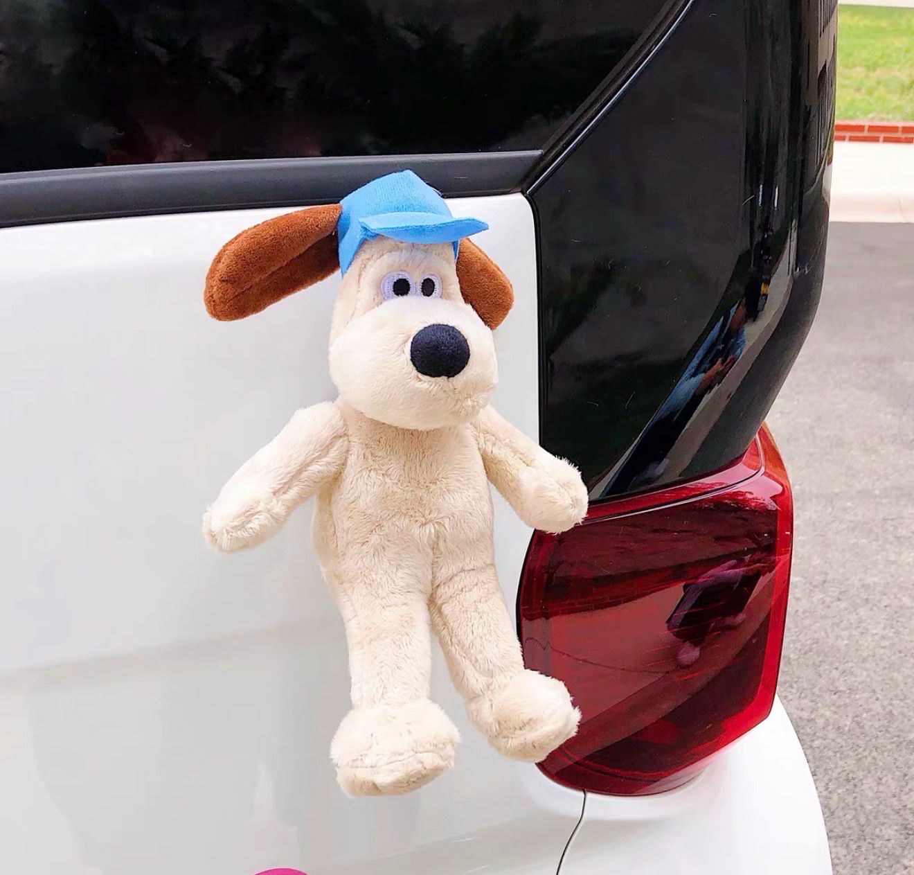 Car Funny Today ( Best Gift)