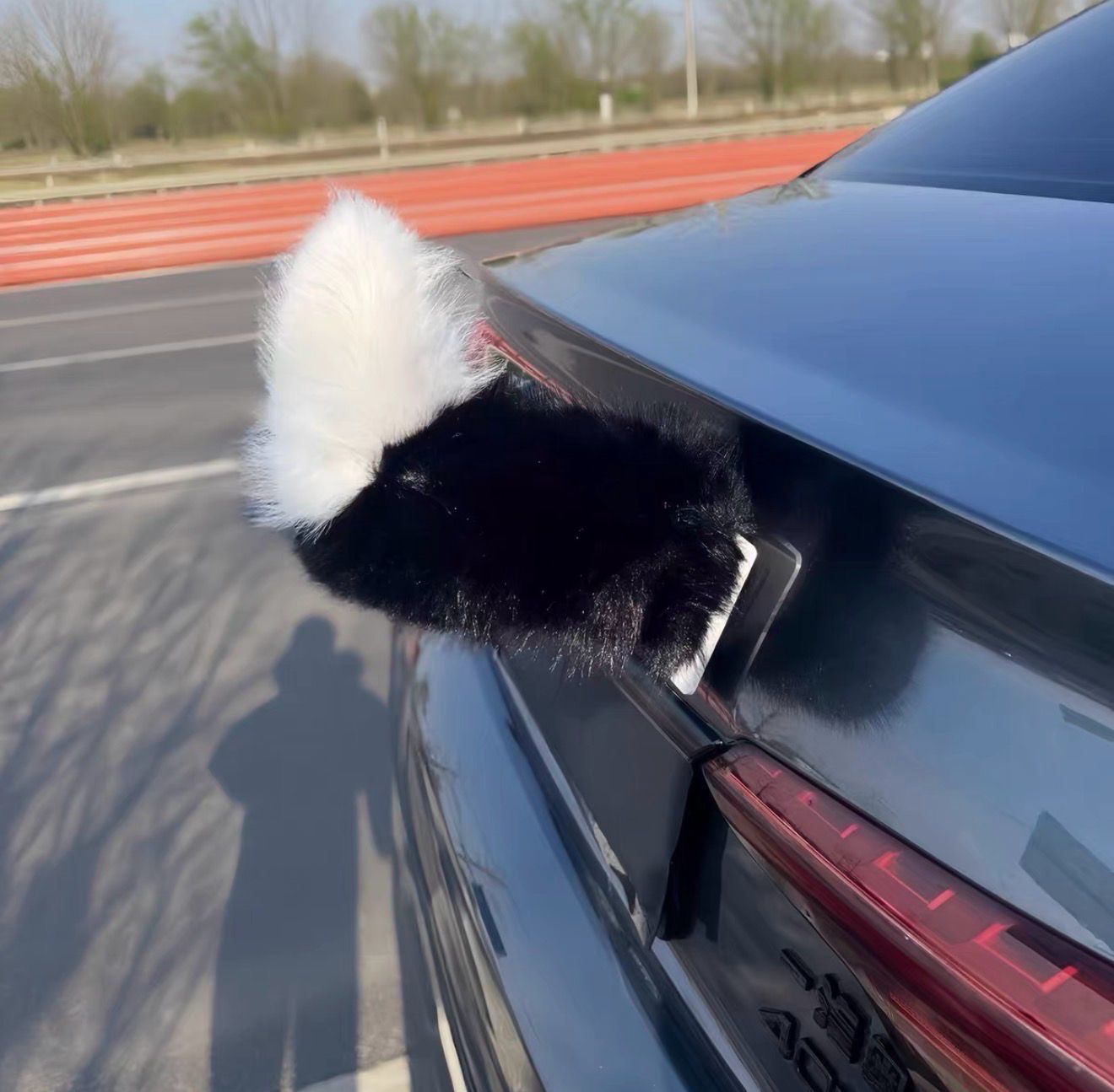 Funny Electric Cat Tail With Remote Controller