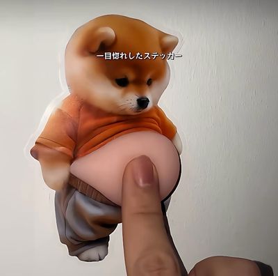 Door Funny Protector ( Price For 2 Pcs Products)