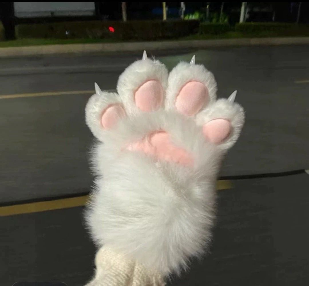 Kitten Gloves 2 pcs ( Price For 2 Pcs Products)