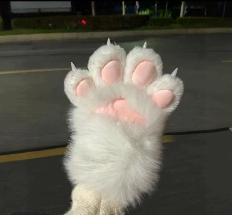 Kitten Gloves 2 pcs ( Price For 2 Pcs Products)