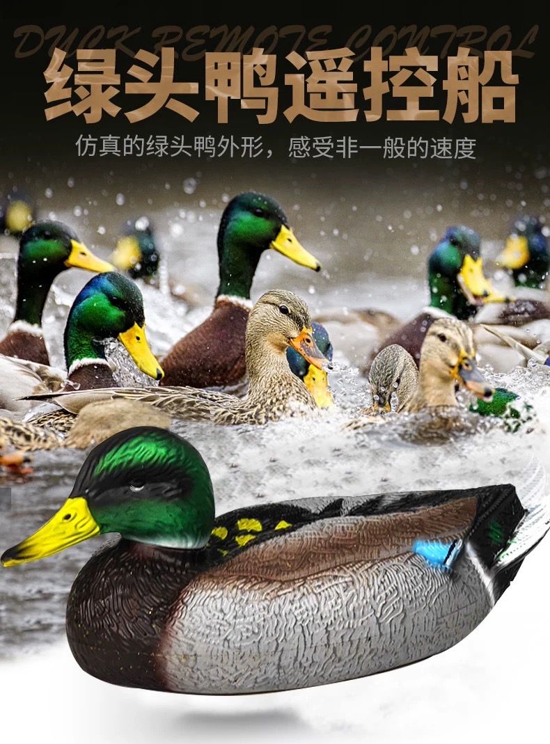 Electric Duck Toy With Remote Controller