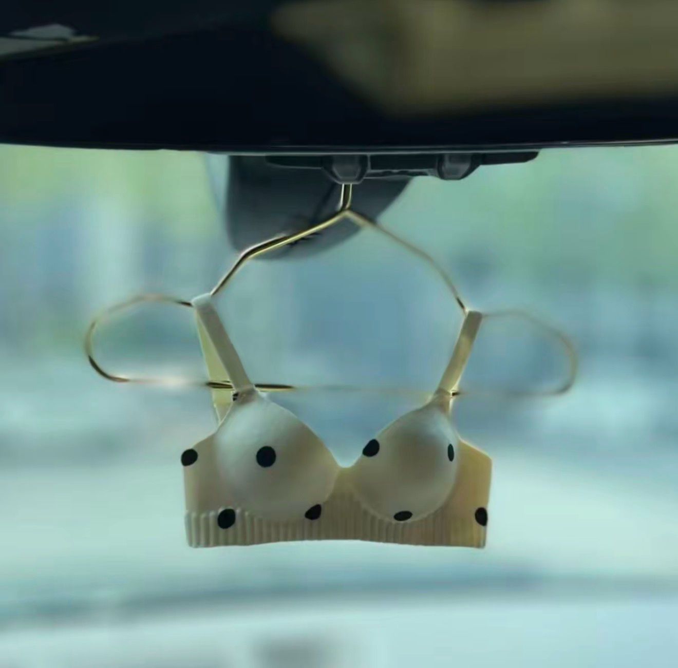 Car Funny Accessories ( BEST GIFT🎁 )
