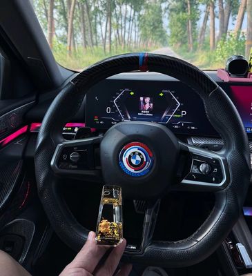 Running Eagle is a custom-designed interior accessory for BMW 5 Series/X1/7 Series/X3 steering wheel with dynamic glitter.