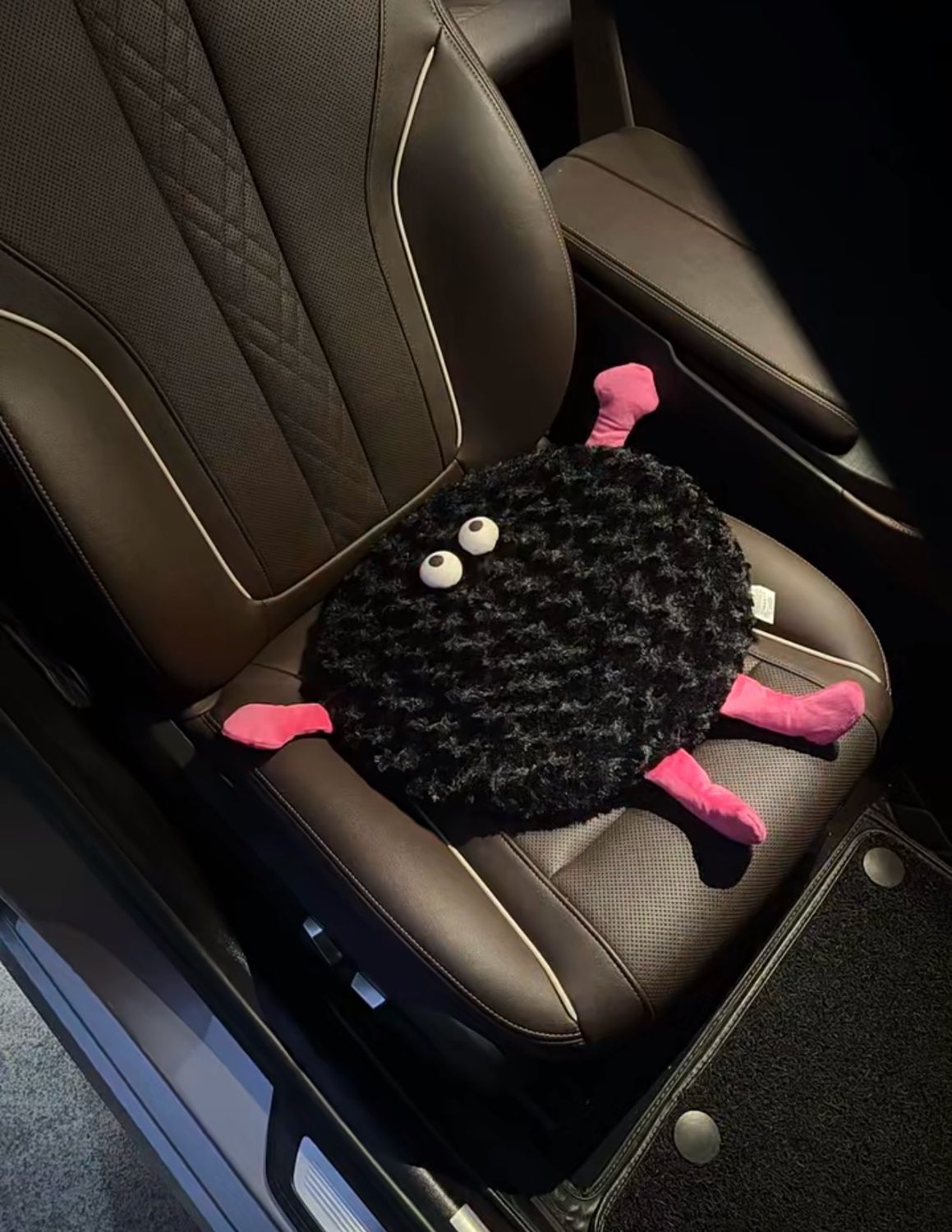Funny Cushion