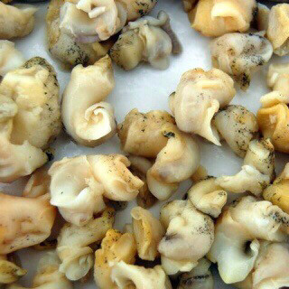 Whelk Meat 1kg