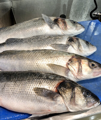 Whole Seabass (1.4-1.8kg)