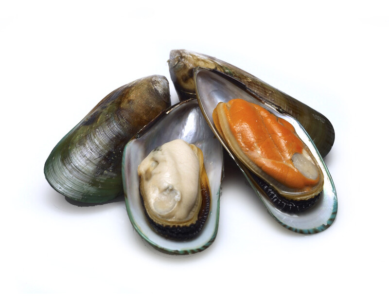 Frozen New Zealand Green Lip Mussels (1kg)