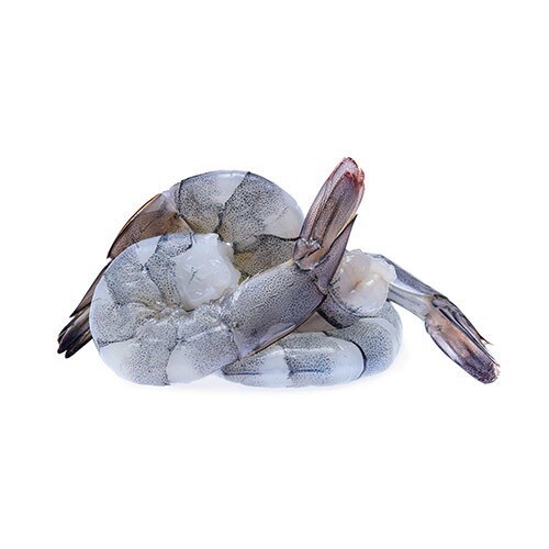 Large Tiger Prawns - Raw, Peeled (1Kg bag, 16/20) 
