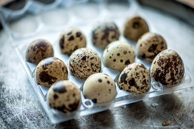 Quail Eggs (1doz)