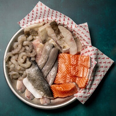 Family Fish Pack ONE