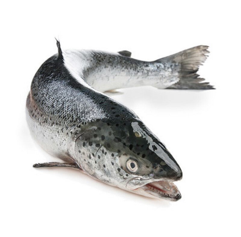 Salmon, Whole Scottish  (approx 3.5kg)