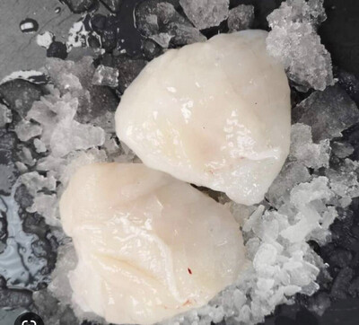 Monkfish Cheeks 500g