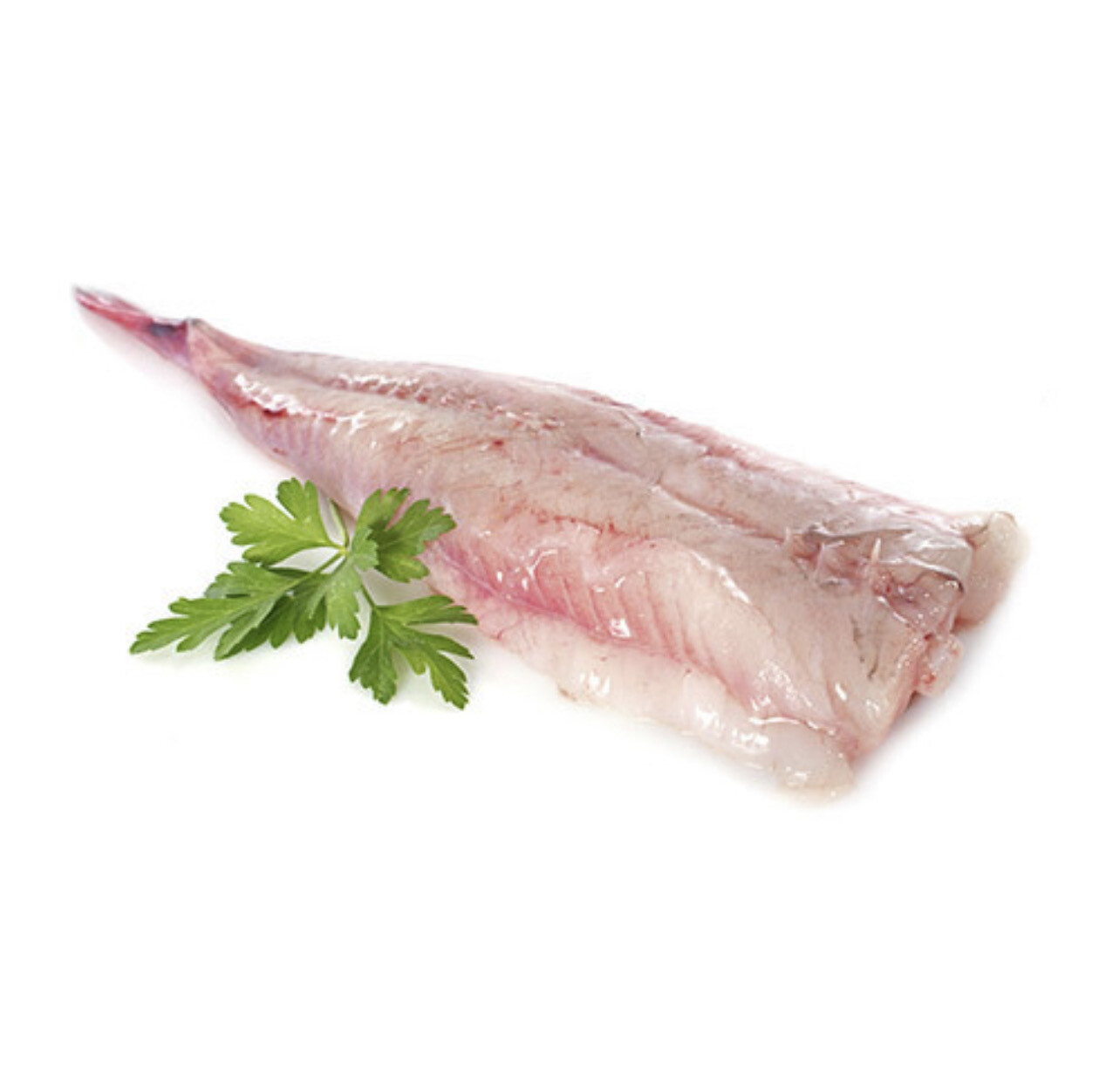 Monk Fish (Whole Tail On The Bone)1.2-1.4kg *weight Before Preparation*
