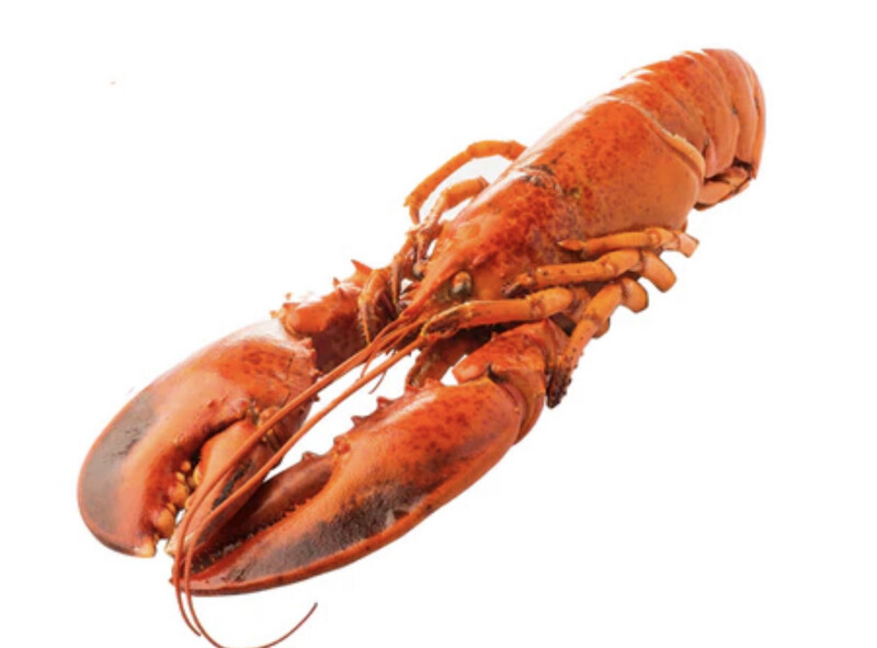 Frozen Whole Cooked Lobster 320g