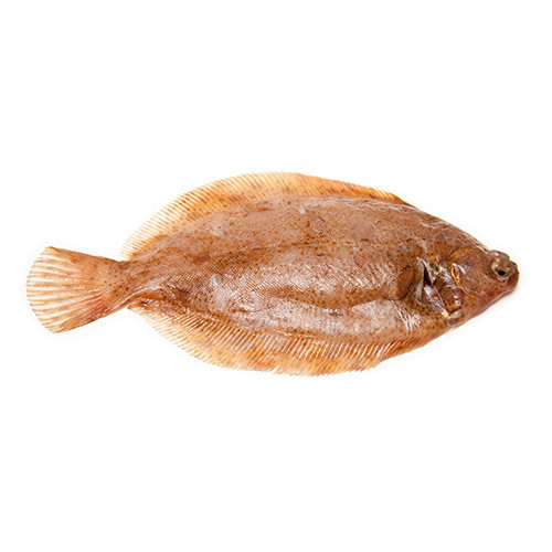Lemon Sole (Each fish feeds one adult. Approx. weight 400g)