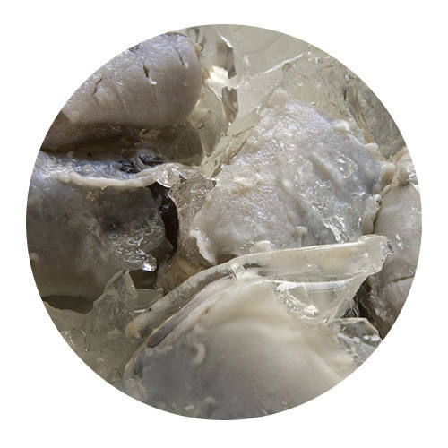 Jellied Eels (300g pot) 5 Pieces 