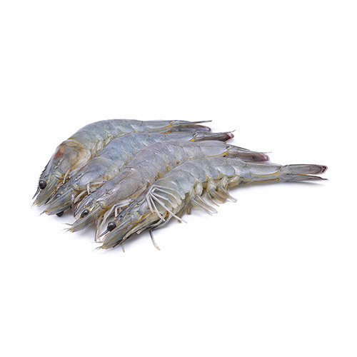 Frozen Tiger Prawns, Raw, Head &amp; Shell On (1Kg box, approx 16-20 per box)