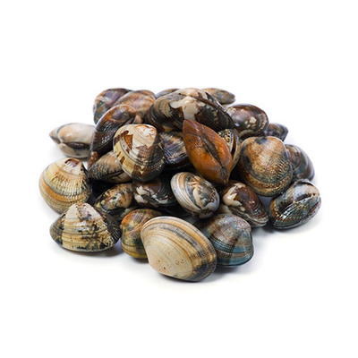 Palourde Clams (500g)