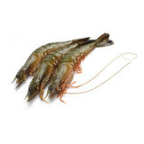 Giant Tiger Prawns (Sold individually)