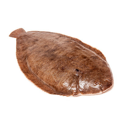 Dover Sole (Feeds one adult. Approx weight 400g)