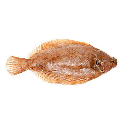 Lemon Sole (Each fish feeds one adult. Approx. weight 400g)