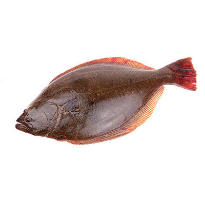 Halibut, Line Caught  (Sold in portion sized steaks or fillets)