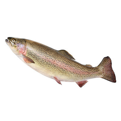 Rainbow Trout (Sold whole. Feeds one adult. Approx weight 400g)