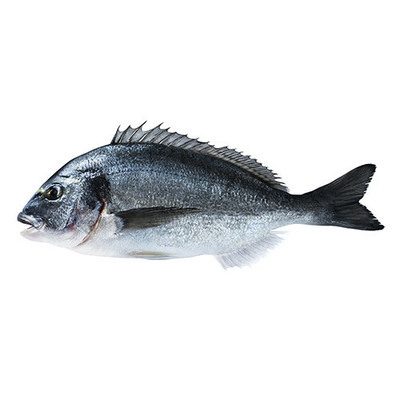 Sea Bream (Medium, feeds one adult. Approx. weight 500g)
