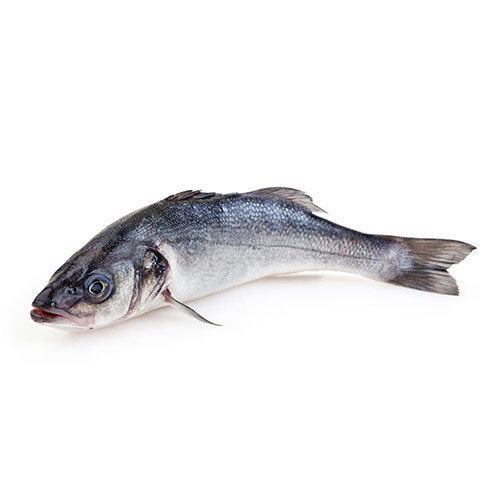 Sea Bass (Large, will feed two adults. Approx. weight 900g)