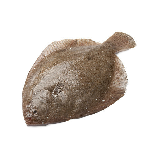 Brill (Ave Size 750g) Will Feed 2