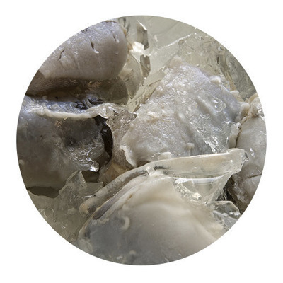 Jellied Eels (300g pot) 5 Pieces 