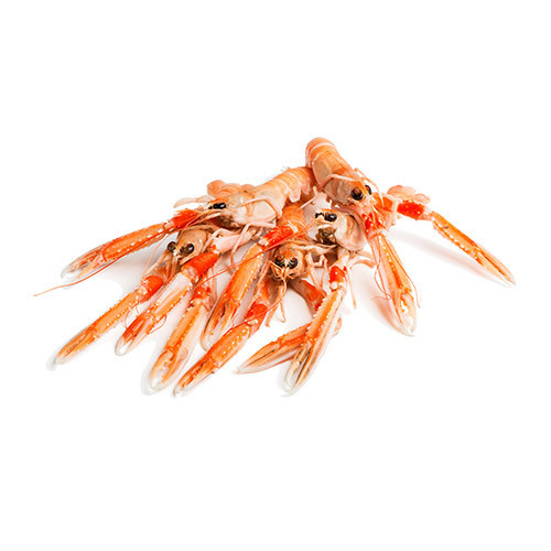 Raw Langoustine (1kg box, approx 8-12 per box)