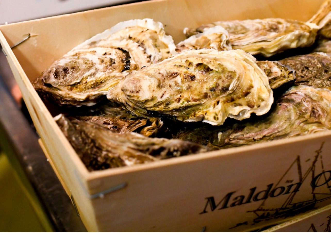 Oysters - Maldon (box of 25) Sold Closed