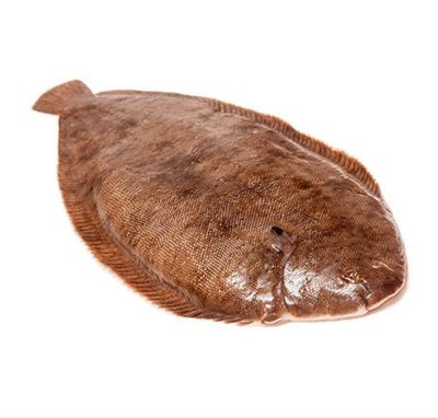 Dover Sole Large (20-24oz Average Weight 600g)