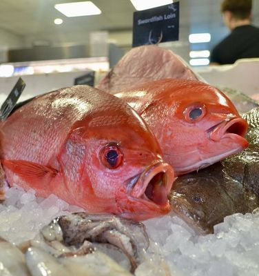 Red Snapper whole (1-1.5kg)