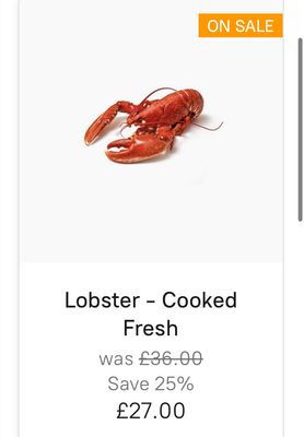 This Months Special Offer